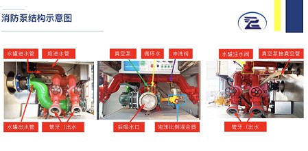 ������ʾ��D